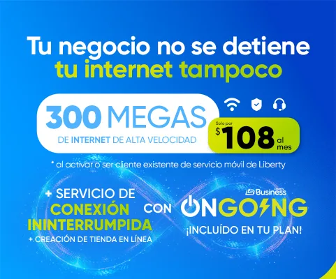 300 Megas + OnGoing + Creación de Tienda Online